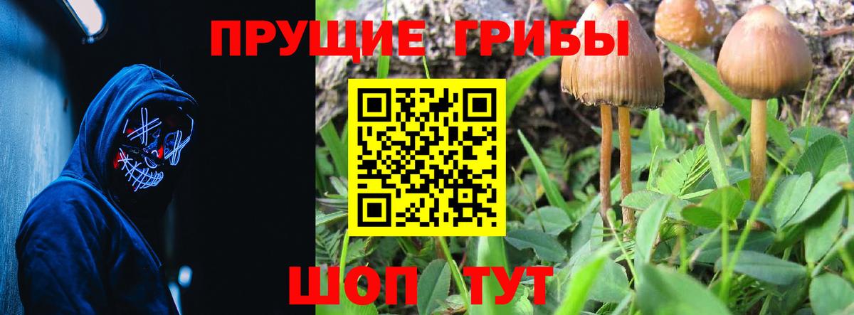 Псилоцибиновые грибы Cubensis  Вход с VPN  Галлюциногенные грибы MAGIC MUSHROOMS  Шелехов 